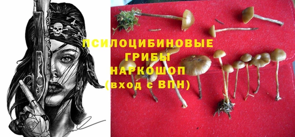 мдпв Березники