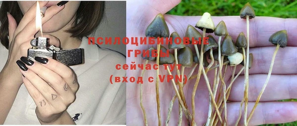мет Фурманов